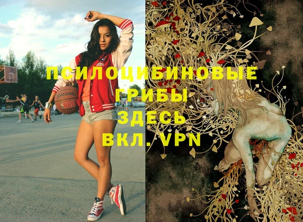 стафф Армянск