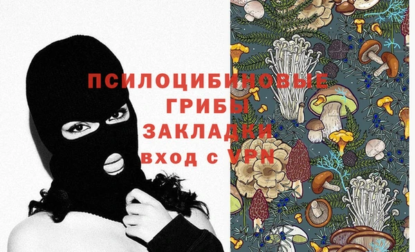 стафф Армянск