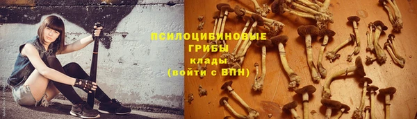 стафф Армянск