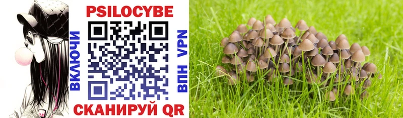 Псилоцибиновые грибы Psilocybe  OMG ссылки  Сасово 