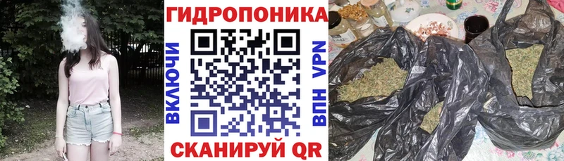 Марихуана Bruce Banner  Сасово 